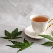 infusion au CBD