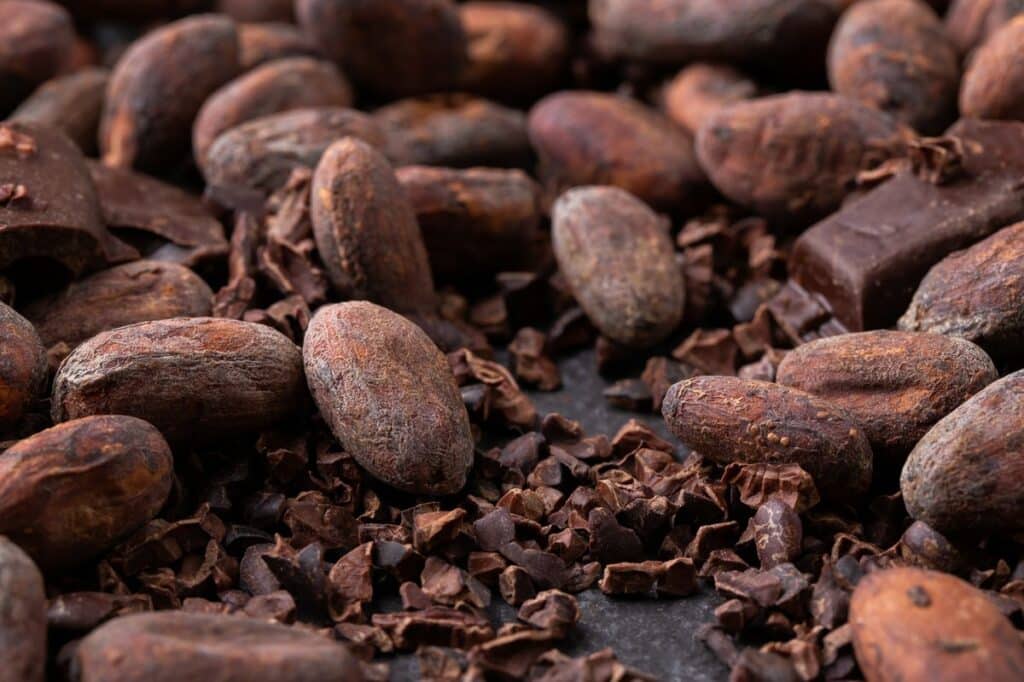 Chocolat et cacao : comprendre leurs différences pour mieux les apprécier