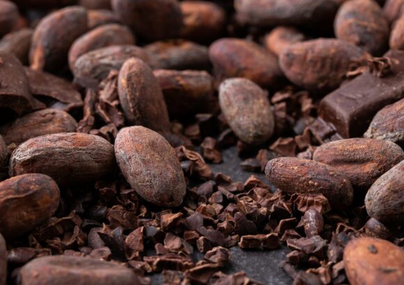 Chocolat et cacao : comprendre leurs différences pour mieux les apprécier